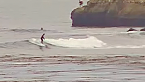 BJJ Black Belt Restrains Racist Surfer Without Throwing a Punch. Then Demanded an Apology.