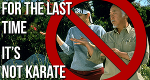 For The Last time, I Dont Do Karate: An Open Letter