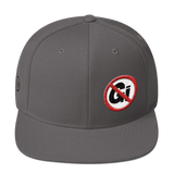 NoGi - Gi Prohibited - Snapback Hat - BJJ Problems